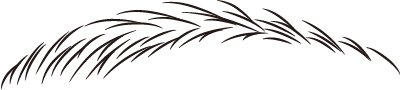 Microblading 座学イメージ