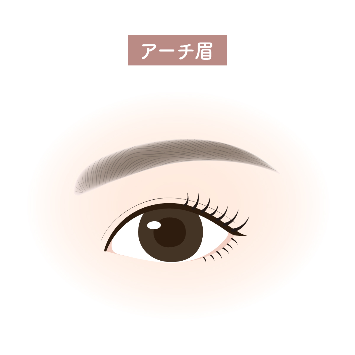 アーチ眉