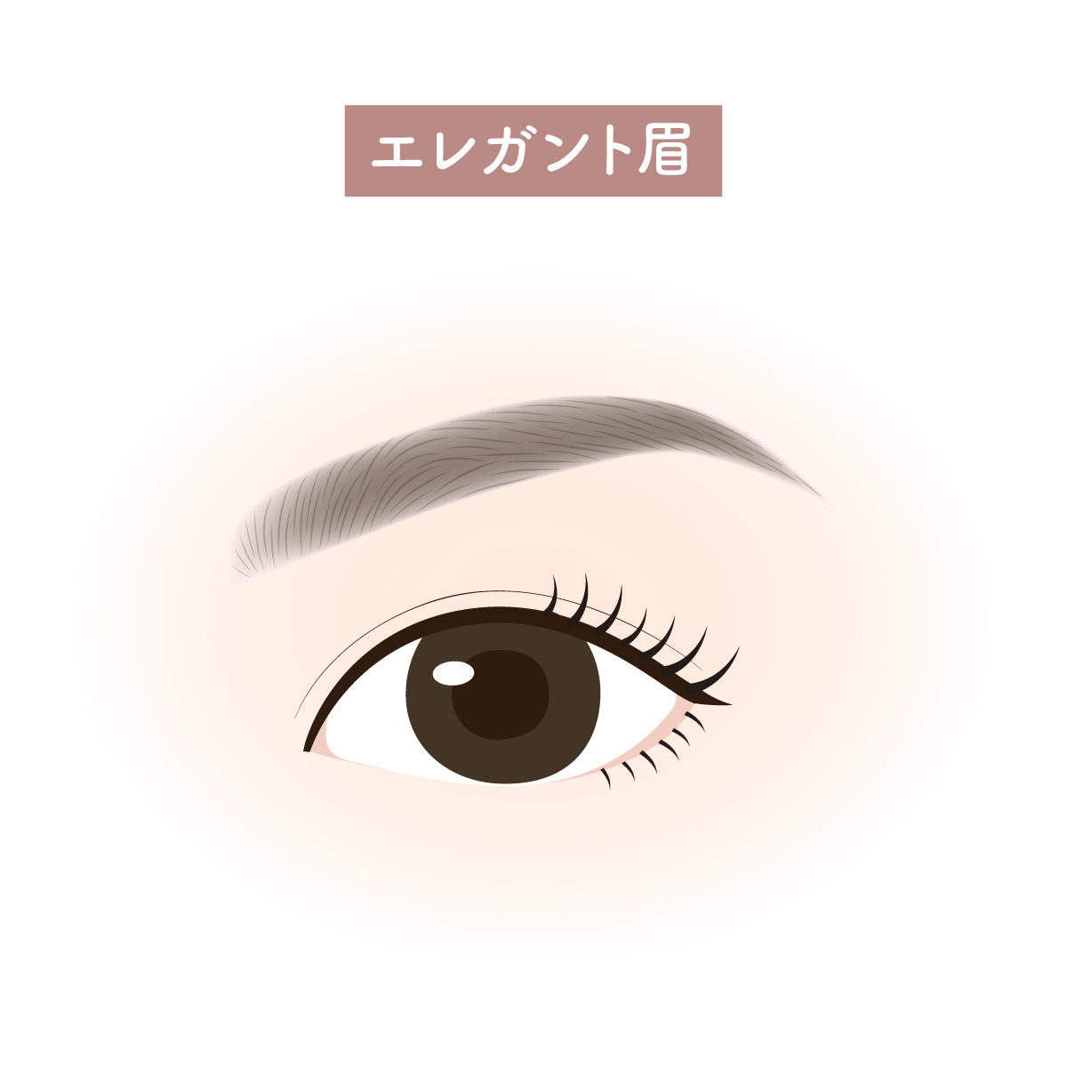 エレガント眉